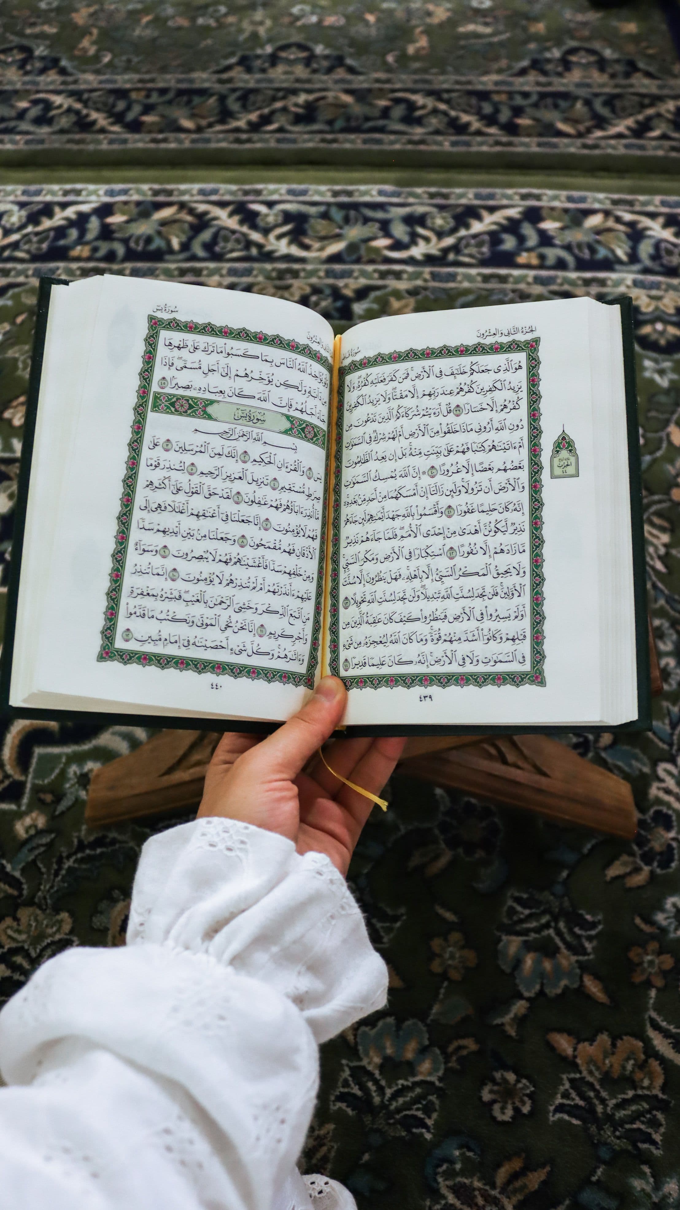 Adult reading the Holy Quran