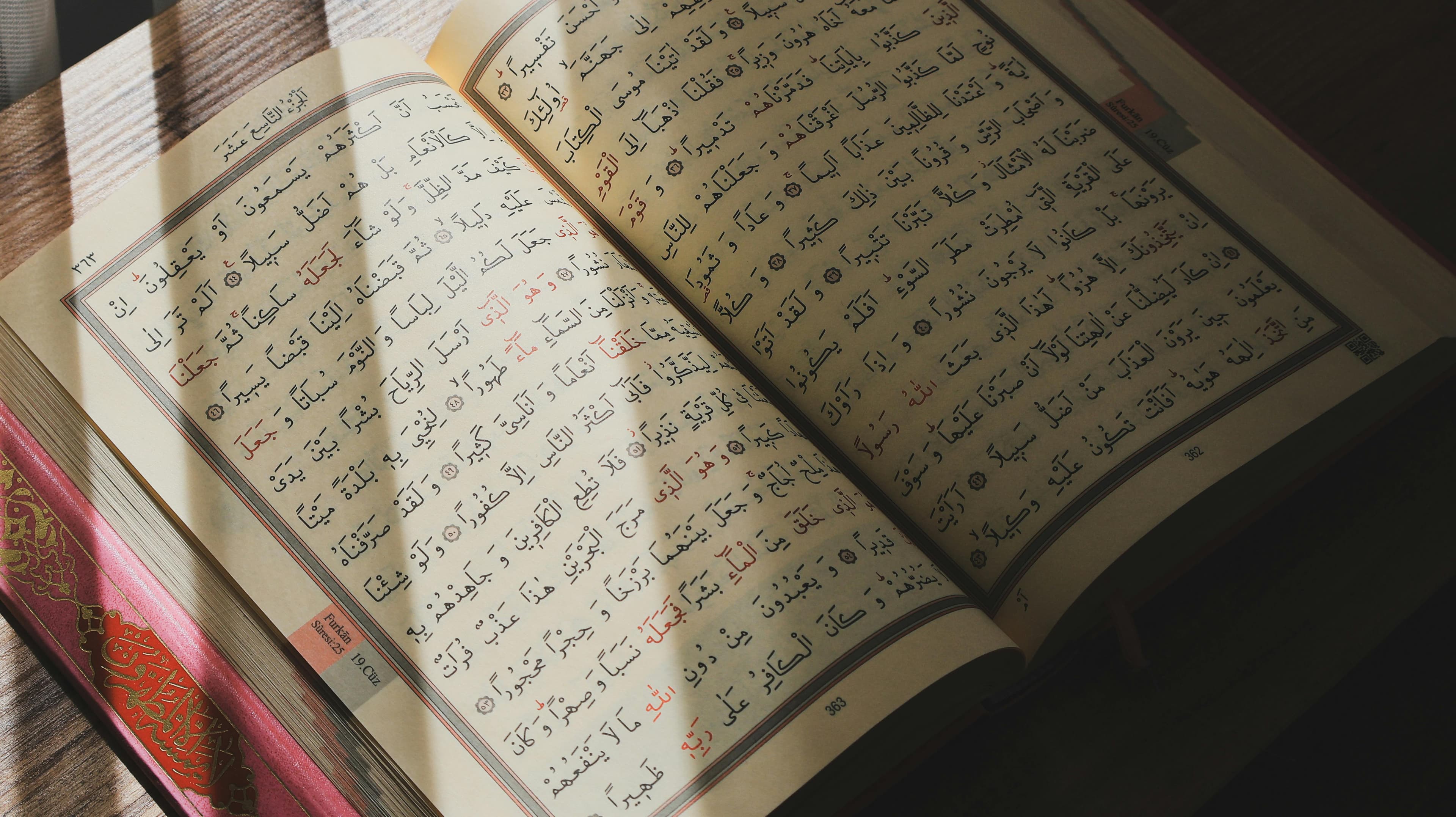 Person studying the Quran