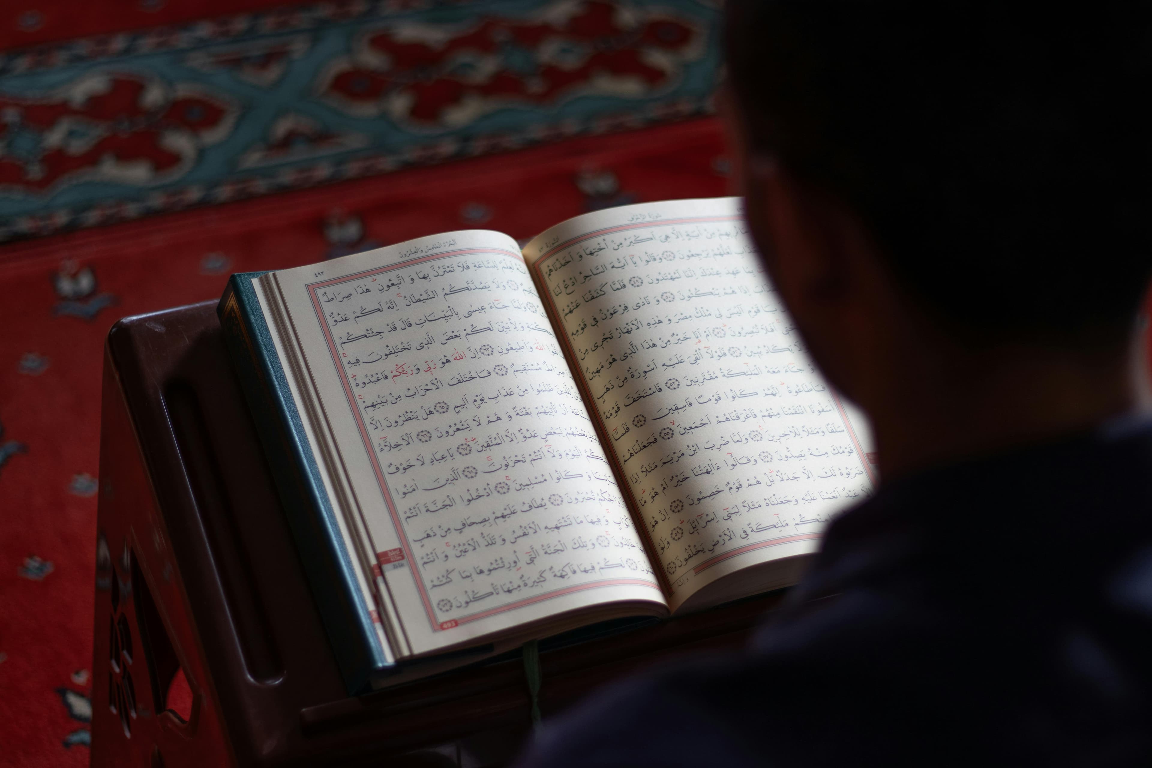 Person reading the Quran in the morning light